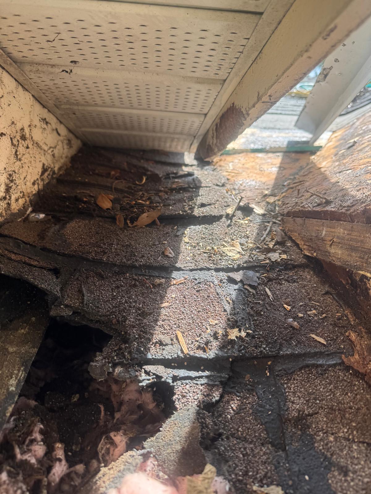 Shingle Repair in Valrico