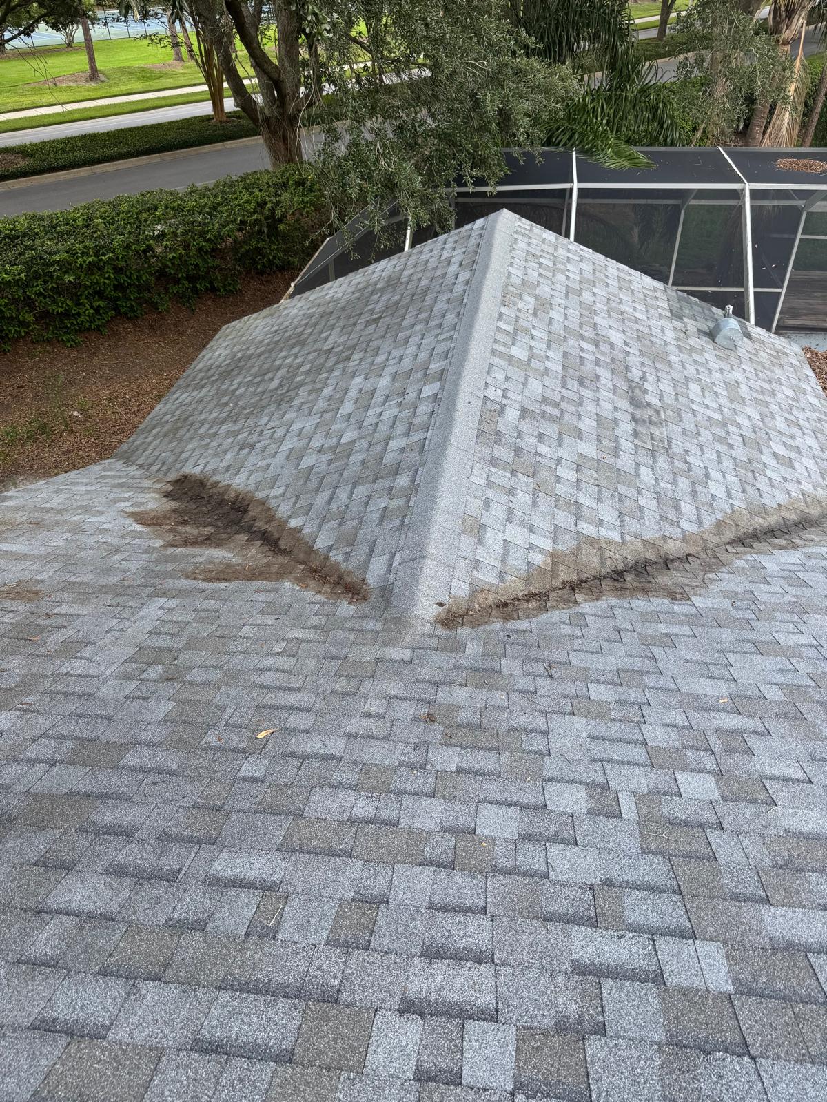 Shingle Repair in Valrico