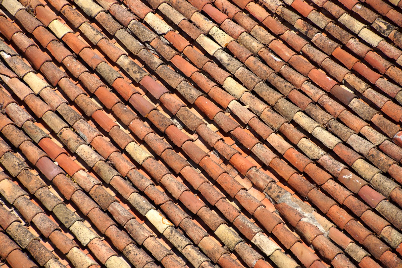 Shingle vs. Tile vs. Metal: Which Roof Is Best for Florida Homes?